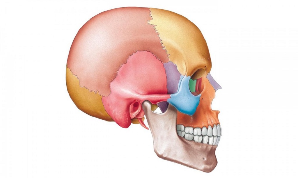 skull fracture