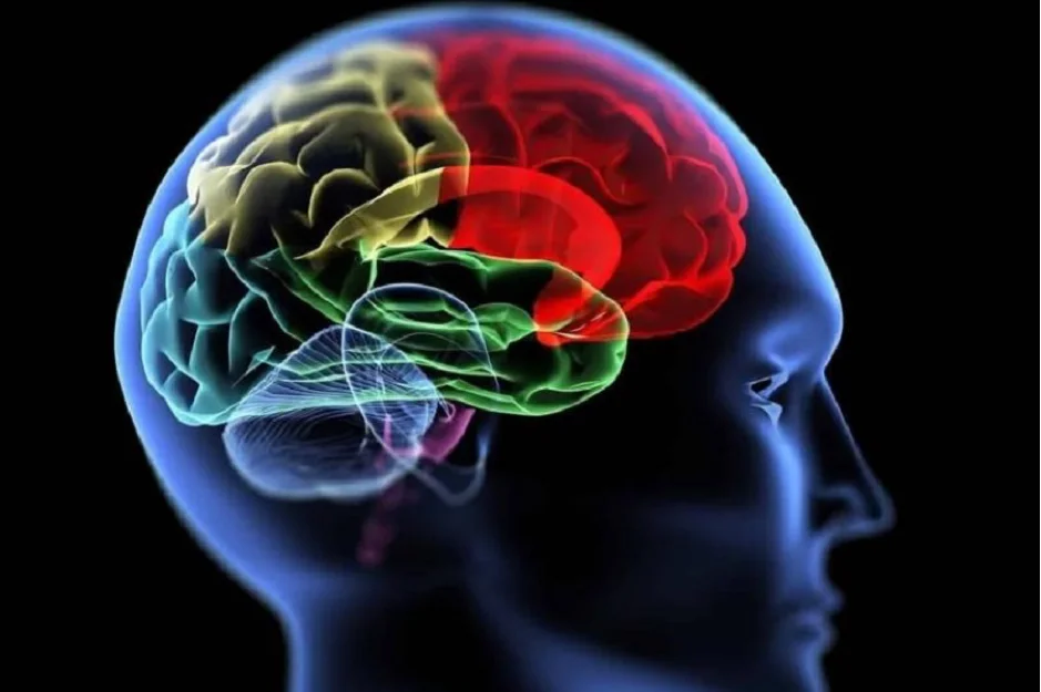 بیماری‌های مغز | توراسیک چیست | دکتر القاسی