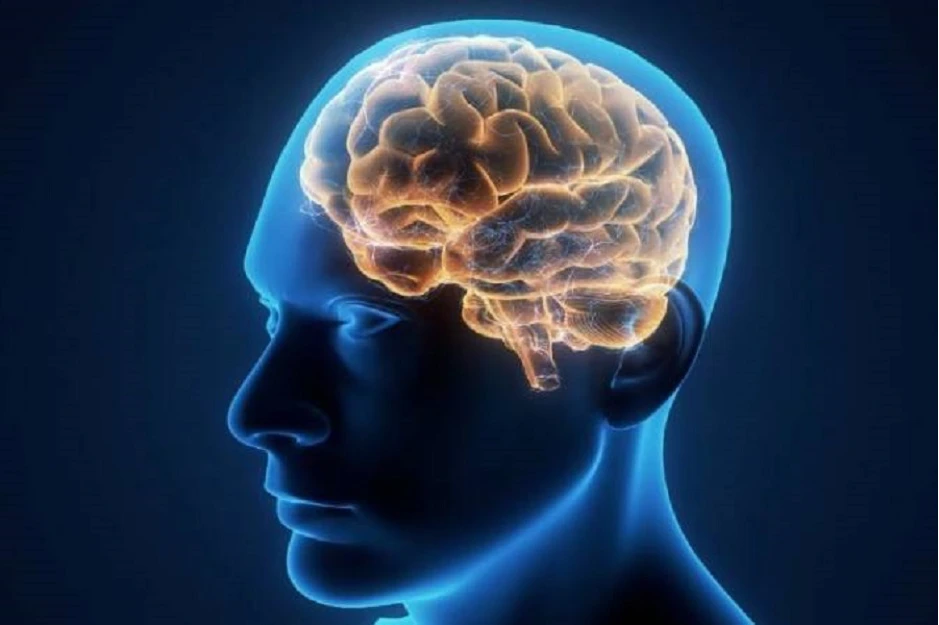 بیماره‌های مغز | دلایل درد شقیقه و روش‌های رفع آن | دکتر القاسی