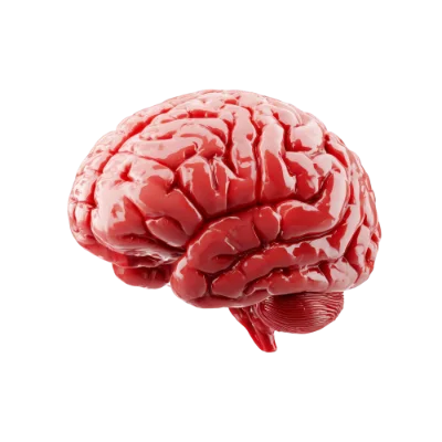 جراحی مغز
